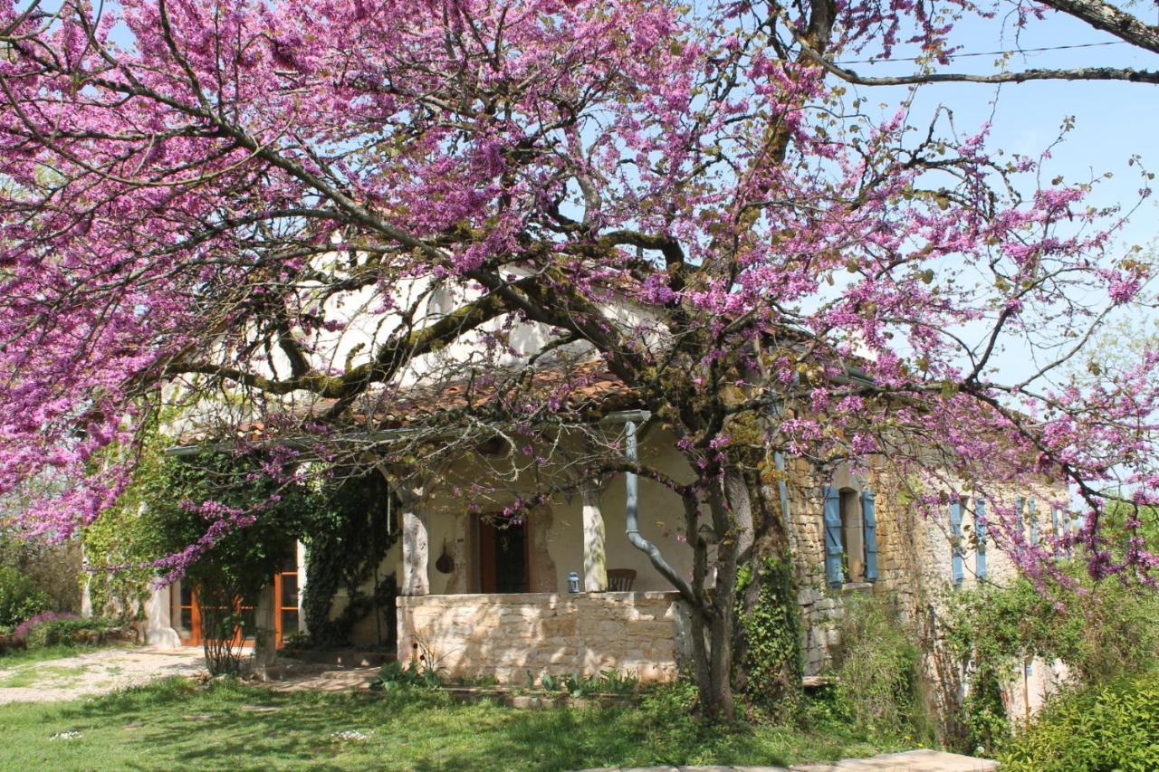 Le Refuge Aux Etoiles